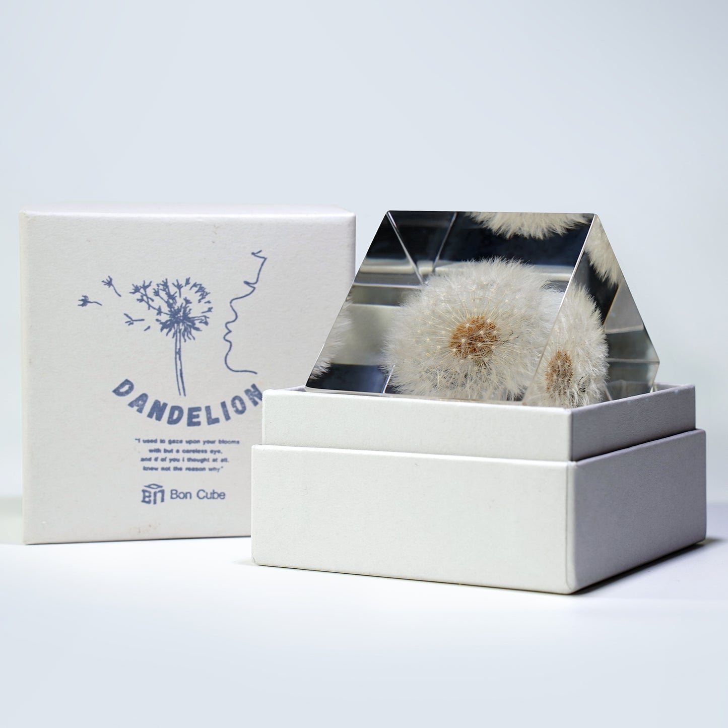 Cube Series - Dandelion (On Amazon)