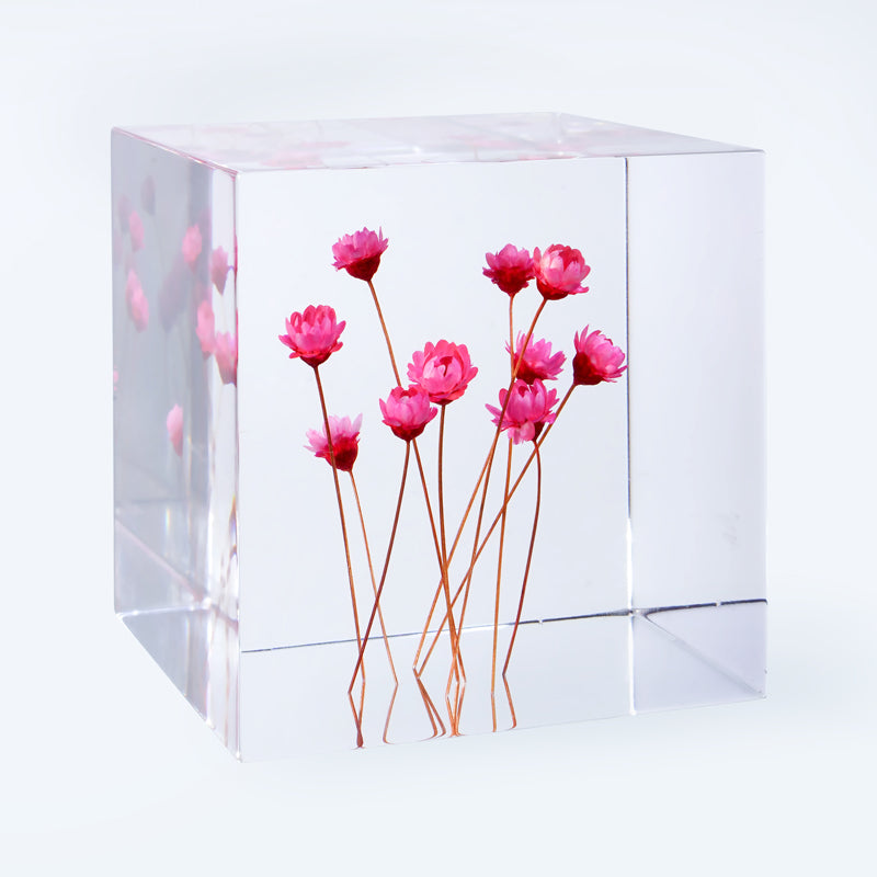 Cube Series - Starflower (On Amazon)