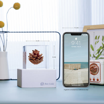 Cube Series - Pine Cone (On Amazon)