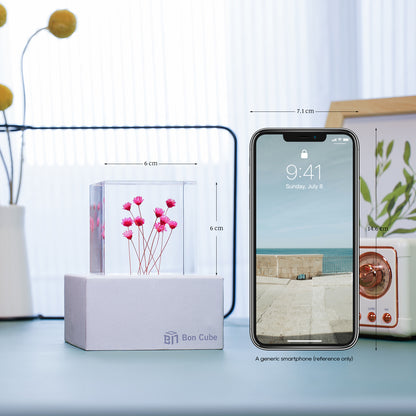 Cube Series - Starflower (On Amazon)