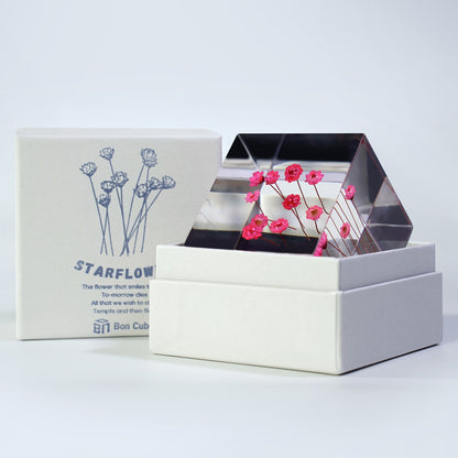 Cube Series - Starflower (On Amazon)