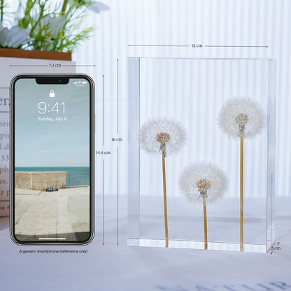 Dandelion Whispers - Family (On Amazon)